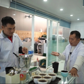 Vùng nguyên liệu nông trại cà phê