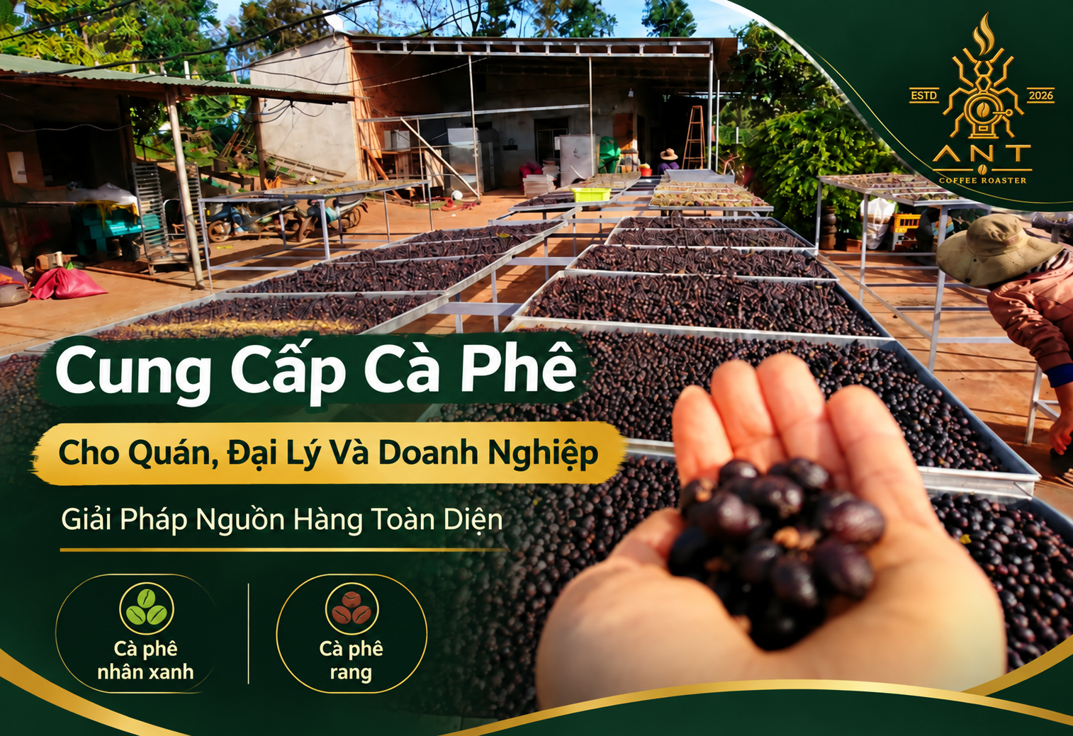 Cung cấp cà phê – Giải pháp nguồn hàng cho quán, đại lý và doanh nghiệp